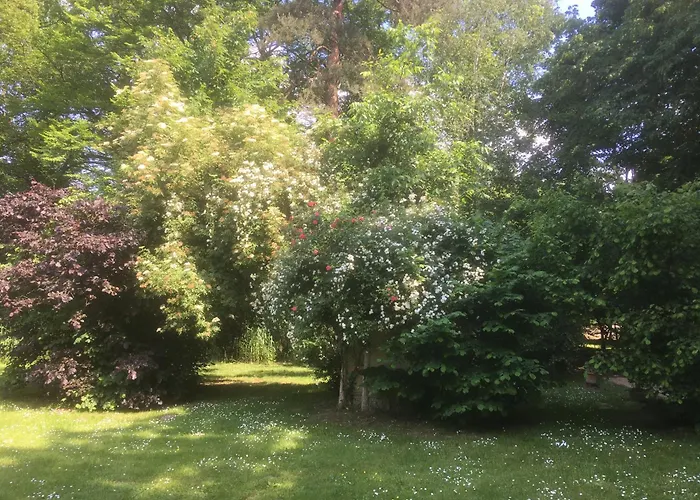 Domaine De Chantemerles