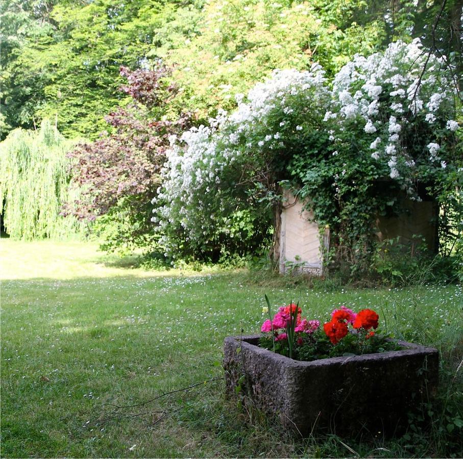 Domaine De Chantemerles Fontainebleau