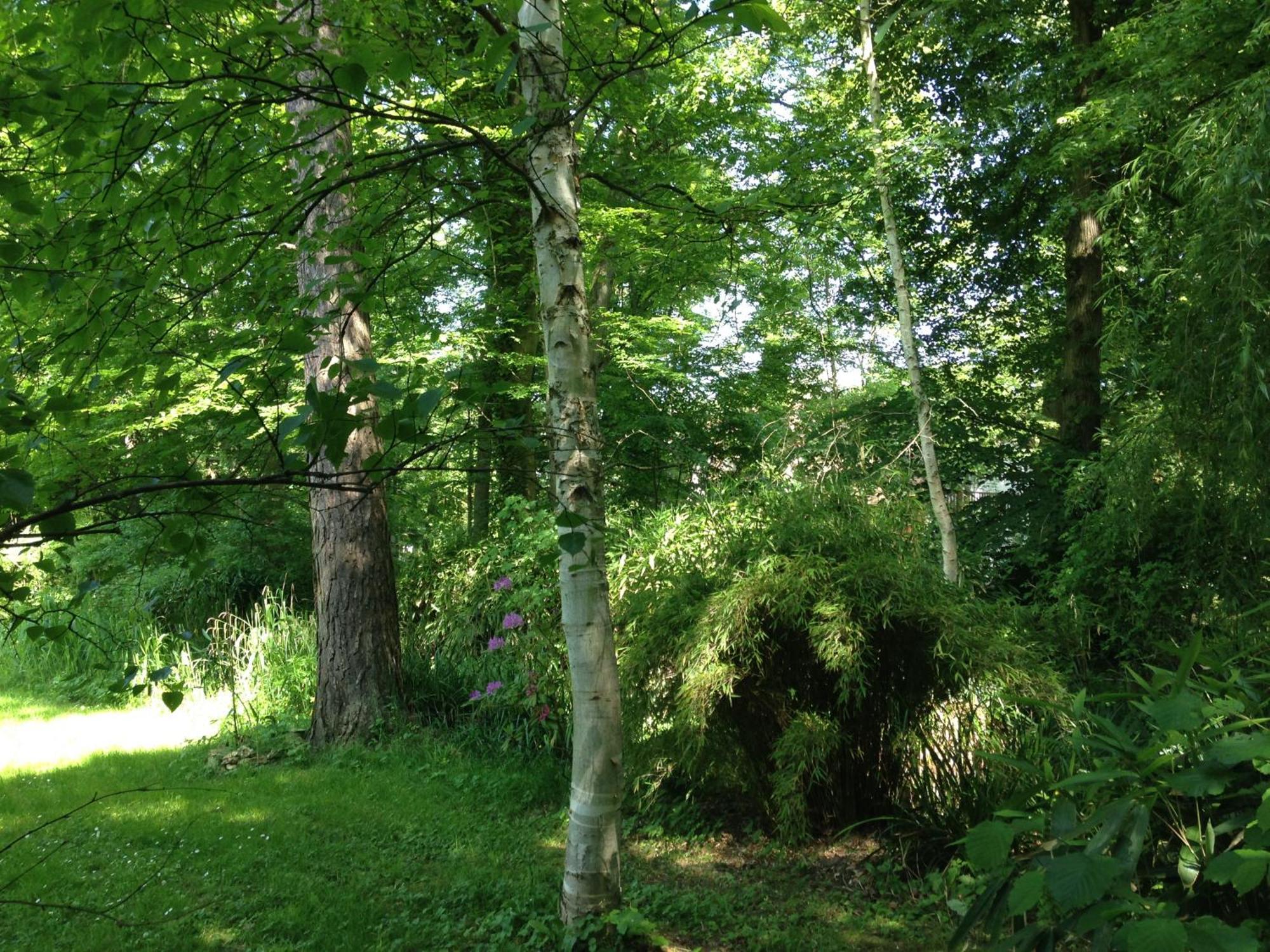 Domaine De Chantemerles Ferienhaus
